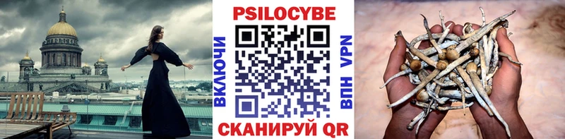 Галлюциногенные грибы прущие грибы  Юрьевец 